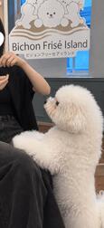 휴일은✨