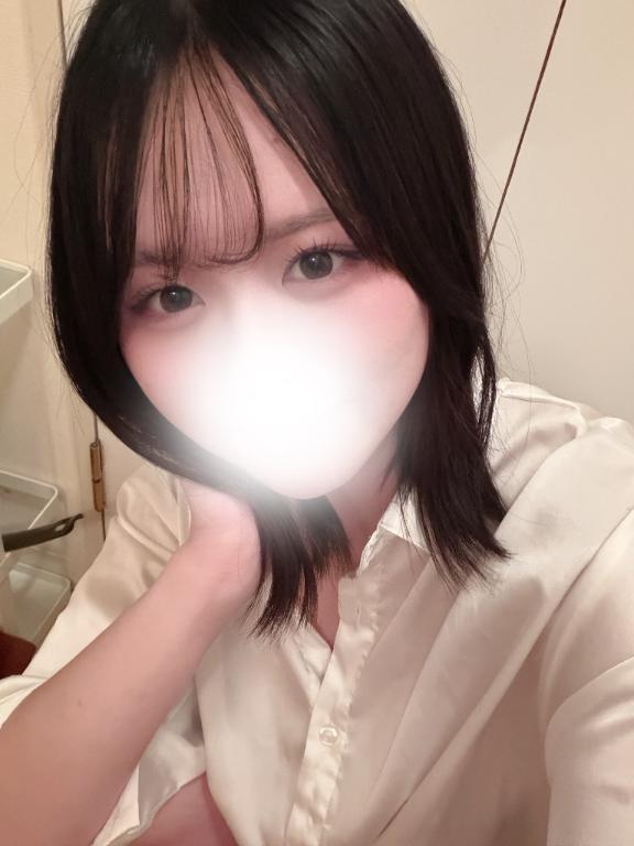 출근했습니다 🕊