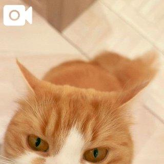 만마루 무렵 ♡
