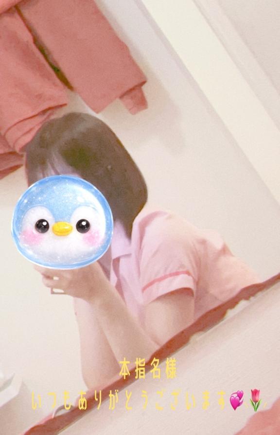 사전 예약 감사