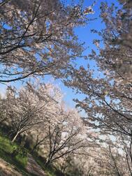 안녕하세요 ☀️