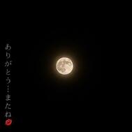 명월🌕