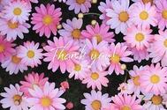 💕집 H 💕
