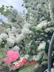 오늘도♡