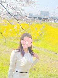 벚꽃도 끝... 🌸