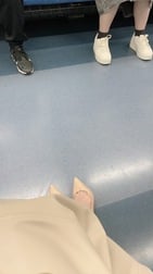 버섯 통신