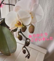 오키니 토크에서 ❤️