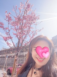벚꽃