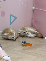 어제♡