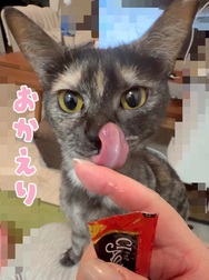 귀가했습니다♪♪