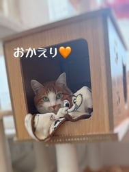 귀가했습니다•*¨*•.¸♬︎