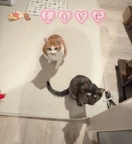 귀가했습니다•*¨*•.¸♬︎
