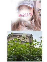 이동 중