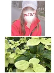 안녕하세요⭐︎