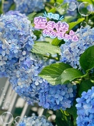 오늘 21:00경~고탄다역 근교 라스트 1프레임 비어 있습니다♡