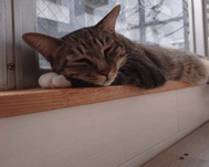 한가로~리✳︎