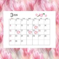 이번주🌷