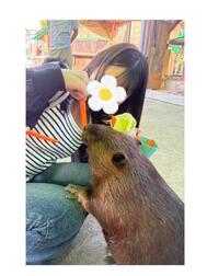 항상 이 거리 😘
