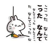요청 건