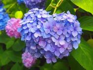 오랜만입니다 🌼