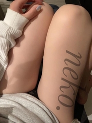 미안해요 🐱