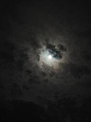 오늘밤도 🐰🌕